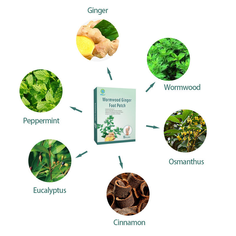 Detox-Fußpflaster - Wermut Ingwer - 足贴